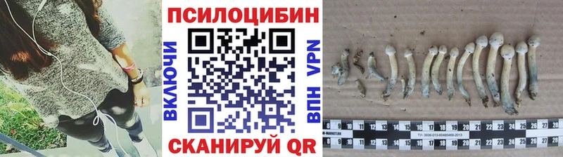 Галлюциногенные грибы ЛСД Заозёрный