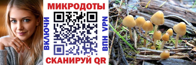 Галлюциногенные грибы Magic Shrooms Заозёрный